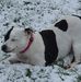 Penny Starkey - Facebook