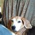 Penny St Clair - Facebook