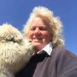 Penny Stout - @penny.stout.68263 - Instagram