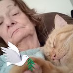 Penny Stover - Facebook