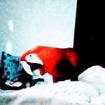 Penny Stover - @pennystover8 - Instagram