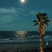 Penny Marshall Adams Tanner - Facebook
