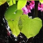 Penny Thieme - @pennythiemephotography - Instagram