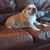 Penny Thornton - Facebook