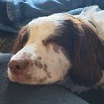Penny Townsend - @penny.townsend.5 - Instagram