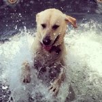 Penny And Pearl Trimble - @pennynpearl - Instagram