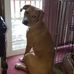 Penny Trimble - Facebook