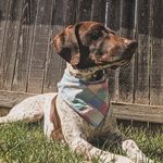 Penny Triplett - @penny.trip - Instagram