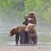 Penny Triplett - Facebook
