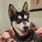 Penny Dugan-Vance - @penny.coloradokleekai - Instagram