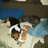Penny Vaughn - @penny.vaughn2 - TikTok