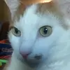 pennyvaughn630 - @pennyvaughn630 - TikTok