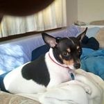 Penny Voss - @rebbgrammy46 - Instagram