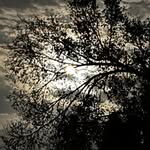 Penny Waite Joiner - @pennywaite - Instagram