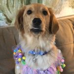 Penny Wall - @penny.smalls - Instagram