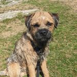 Penny Walton - @pennywalton228 - Instagram