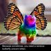 Penny Walton - Facebook