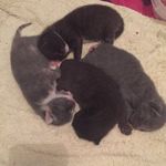 Penny - @pennywaters79 - Instagram