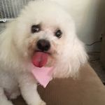 Penny Robinson - @pennywaters63 - Instagram