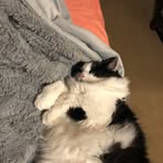 Penny Webber - Facebook