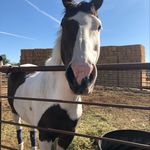 Penny Weber - @pennyweber11 - Instagram
