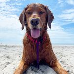 Penelope Weiner - @pennyweiner - Instagram