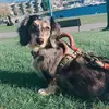 user858149616913 - @pennytheweiner - TikTok