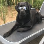 Penny Weir - @pennyweir.1 - Instagram