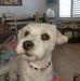 Penny Weir - Facebook