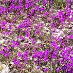 penny weir - @pen.weir - Instagram