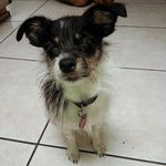 Penny Weirdo - @penny.weirdo - Instagram
