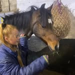 ✨ Penny ✨ - @penny_welsh.cob.x - Instagram