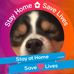 Penny Westfall - Facebook