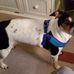 Penny Westfall - Facebook