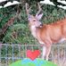 Penny Withers - Facebook