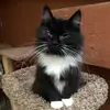 pennywithers8 - @pennywithers8 - TikTok