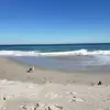 Penny Wolf - @penny.wolf7 - TikTok