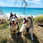 PENNY+WOLF - @pennyandwolf - Instagram
