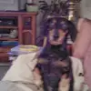 Penny Wolff - @penny.wolff6 - TikTok