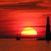 Penny Workman Holstege - Facebook