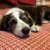 Penny Wright - Facebook