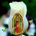 Pepe Carrillo - Facebook