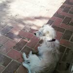 Pepe Carrillo - @pepe.carrillocano - Instagram