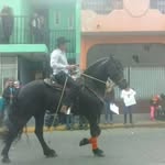 Pepe Preciado Cossyleon - @cossyleo77 - Instagram