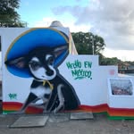 Pepito Rivera - @pepitointherivieramaya - Instagram