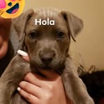 Pepito.Rivera - @pepito.r.h - Instagram