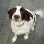 Pepper Ferguson - Facebook