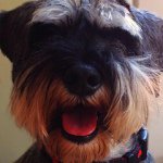 Pepper Jones - @pepperbjones - Instagram