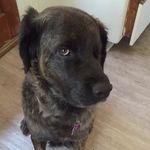 Pepper Jones - @pepper.jones - Instagram