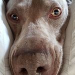 pepper jones - @_pepper_jones_ - Instagram